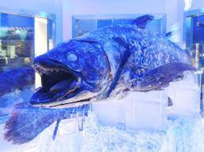 サンプルショップ3